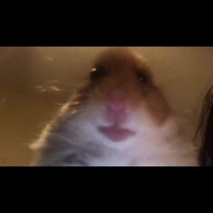 Meet your Posher, Keanen